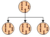 Vorgeschichte der Organisation